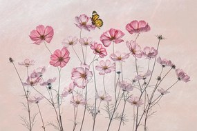 Foto Cosmos and Butterfly, Lydia Jacobs, (40 x 26.7 cm)