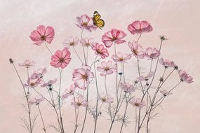 Ilustratie Cosmos and Butterfly, Lydia Jacobs