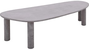 Goossens Eettafel Stone, Organisch 290 x 120 cm