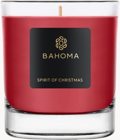 Handgemaakte geurka Kaars Sprit of Christmas (cassis, kruidnagel & amber)