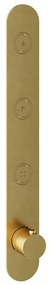Hotbath Cobber afbouwdeel inbouwthermostaat met 3 pushbuttons verticale plaatsing geborsteld messing (goud) PVD PB050EXTBBP