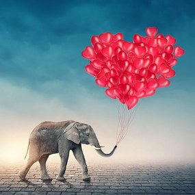 Kunstfotografie Elephant with red balloons, egal, (40 x 40 cm)