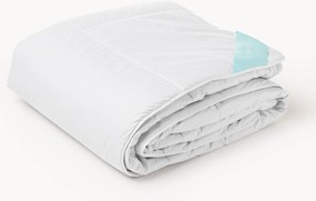 Kasjmieren dekbed Avani, extra warm