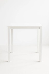 Dino Vierkante Tafel 65 cm