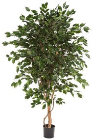 Ficus Exotica kunstplant - 240 cm