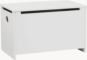 Kinderopbergdoos Star