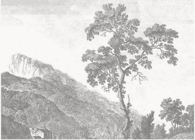 Vliesbehang Engraved Landscapes I