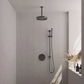 Brauer Stripe inbouw regendouche rond met 25cm hoofddouche, rond met plafondarm, glijstang en staafhanddouche set 45 gunmetal geborsteld PVD