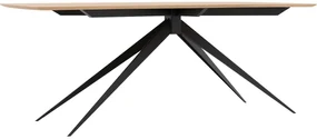 Goossens Excellent Eettafel Floyd, Semi rechthoekig 200 x 100 cm