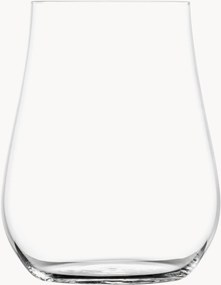 Mondgeblazen tumblers Kolibri, 2-delig