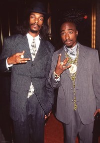 Poster Snoop Dogg & Tupac - Suits, (59.4 x 84.1 cm)
