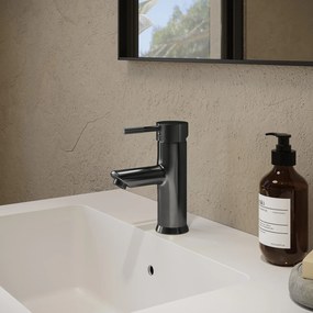 Saniclear Iron Curved wastafelkraan verouderd ijzer - gunmetal