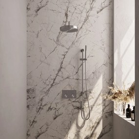 Brauer Stripe inbouw regendouche met 25cm hoofddouche, gebogen muurarm, staafhanddouche en glijstang set 32 RVS geborsteld PVD