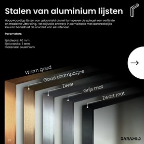 Spiegel met verlichting F1
