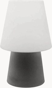 Dimbare in- & outdoor LED decoratieve lamp No. 1