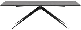 Goossens Excellent Eettafel Uniek, Rechthoekig 240 x 100 cm