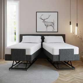 Hoog laag bed