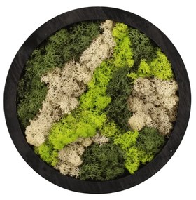 Moss Art rond