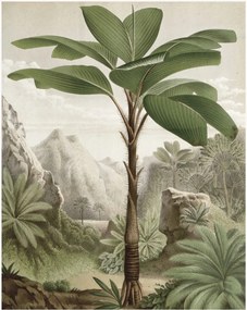 Non-woven wallpaper Banana Tree