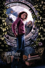 Kunstafdruk Harry Potter - Hermione