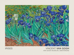 Kunstreproductie Irises (Museum Vintage Floral / Flower Landscape) - Vincent van Gogh, (40 x 30 cm)