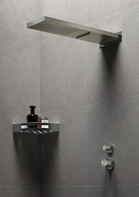 Hotbath Archie opbouw hoofddouche met 2 standen geborsteld gunmetal PVD