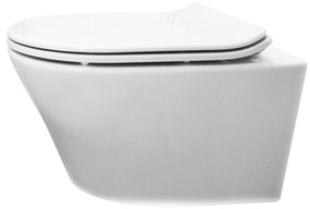 Mueller Afesta toiletpot met spoelrand en vlakke softclose zitting 52cm