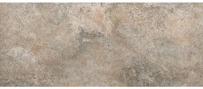 Fap Ceramiche Nobu wandtegel - 50x120cm - gerectificeerd - Natuursteen look - Slate mat (bruin) SW07314686-3