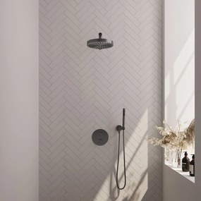 Brauer Stripe inbouw regendouche rond met 25cm hoofddouche, rechte muurarm en staafhanddouche set 37 gunmetal geborsteld PVD