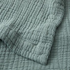 Plaid van tetra, Yafa