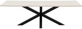 Goossens Eettafel Stone, Rechthoekig 250 x 110 cm