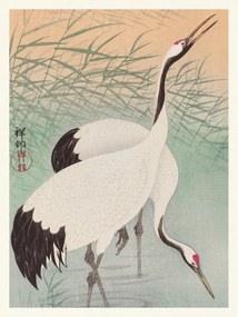 Kunstdruk Two Cranes (Japandi Vintge) - Ohara Koson, (30 x 40 cm)
