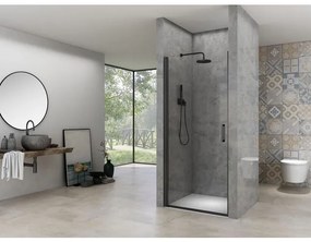 Van Rijn Products Nisdeur 6 mm helder glas, incl. glasbehandeling, zwart beslag, inclusief dichtingen, deuren zijn omkeerbaar (750-770) x 2000 mm ST02LP10075ZW