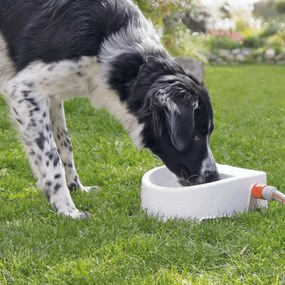 TRIXIE Huisdieren waterdispenser automatisch kunststof