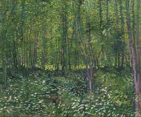 Kunstreproductie Trees and Undergrowth, 1887, Vincent van Gogh