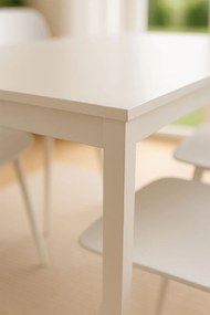 Dino Rechthoekige Tafel 100x60 cm