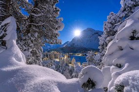 Foto Snowy forest lit by moon in winter, Switzerland, Roberto Moiola / Sysaworld, (40 x 26.7 cm)