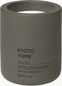 Geurkaars Fraga (Kyoto Yume)