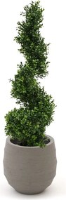 Kunstboom Designplants Luca Lifestyle | Groen Kunststof | Inclusief bloempot | ø40x40cm | Geschikt voor buiten en binnen | Kees Smit Tuinmeubelen
