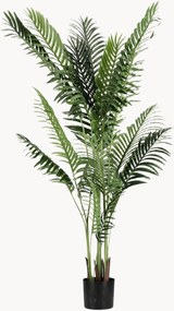 Kunstplanten Kenzia, 2-delig