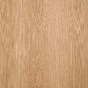 Kast voor vinylplaten B60xD42 cm eikenfineer Archivita XL