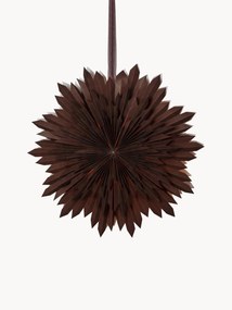 Decoratieve ster Ice