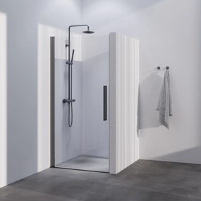 Brauer Season nisdeur met draaideur 100cm gunmetal