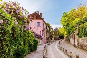 Foto Street in Montmartre with blooming wisteria, Alexander Spatari