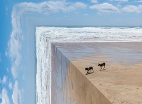 Ilustratie Perspective bending image of two dogs on a beach, ImagePatch, (40 x 30 cm)