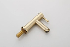 Saniclear Brass fonteinkraan geborsteld messing / mat goud