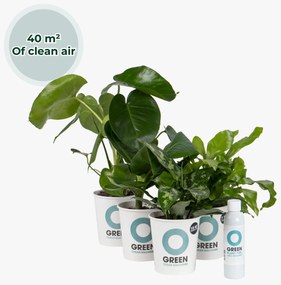 Ogreen - Indoor Jungle