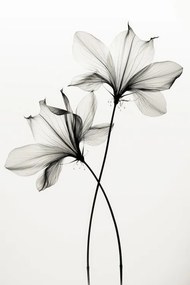Ilustratie Transparent Botanic No 6, Treechild
