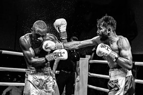 Foto Boxing, Reza Mohammadi, (40 x 26.7 cm)