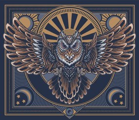 Ilustratie Flying owl poster., Serhii Yakovliev